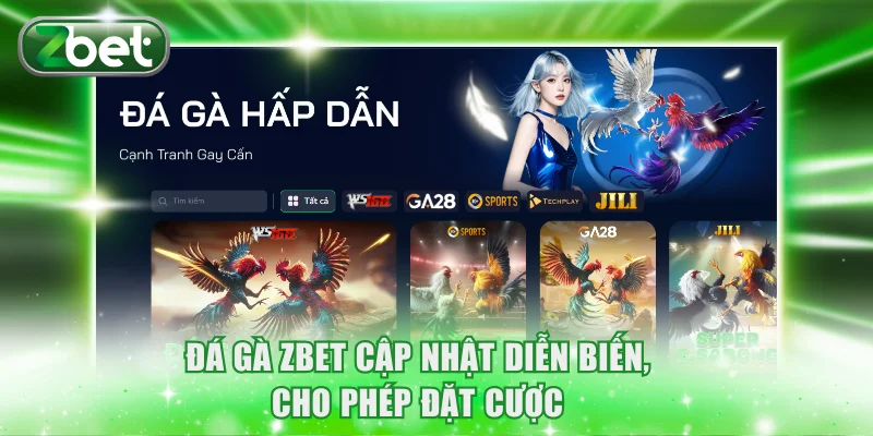 Đá gà ZBET cập nhật diễn biến, cho phép đặt cược