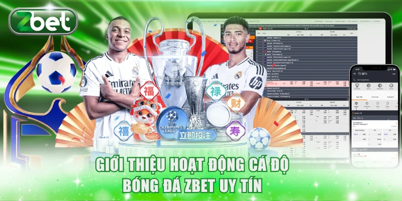 Giới thiệu hoạt động cá độ bóng đá ZBET uy tín