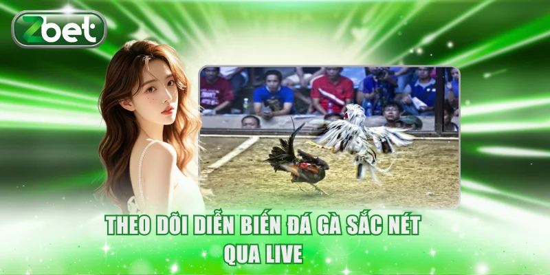 Theo dõi diễn biến đá gà sắc nét qua live