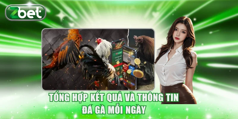 Tổng hợp kết quả và thông tin đá gà mỗi ngày